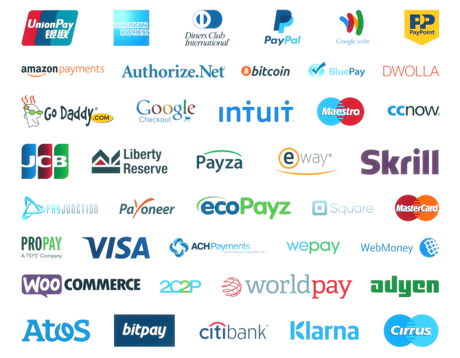 Selecting Payment Options for Your Ecommerce Website - NCN Technology